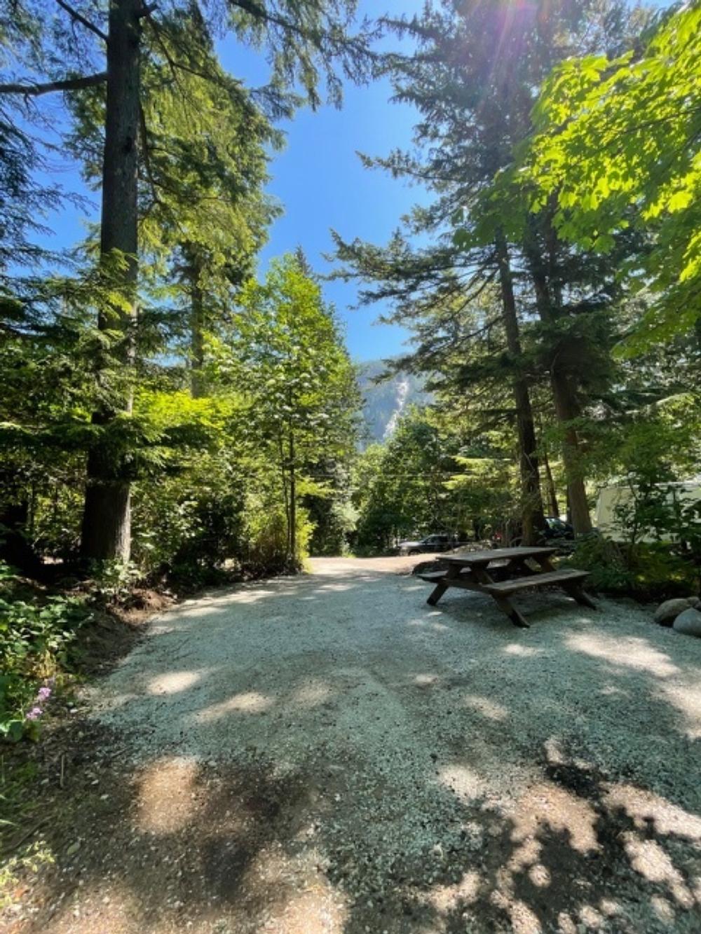 A gravel site with picnic table at Klahanie Campground